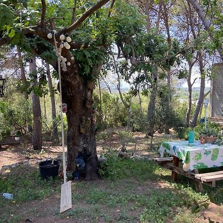 Mobil Home Calicanto Masía Aldamar Εξωτερικό φωτογραφία