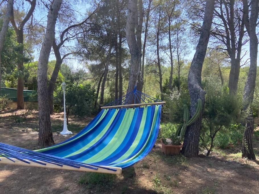 Mobil Home Calicanto Masía Aldamar Εξωτερικό φωτογραφία